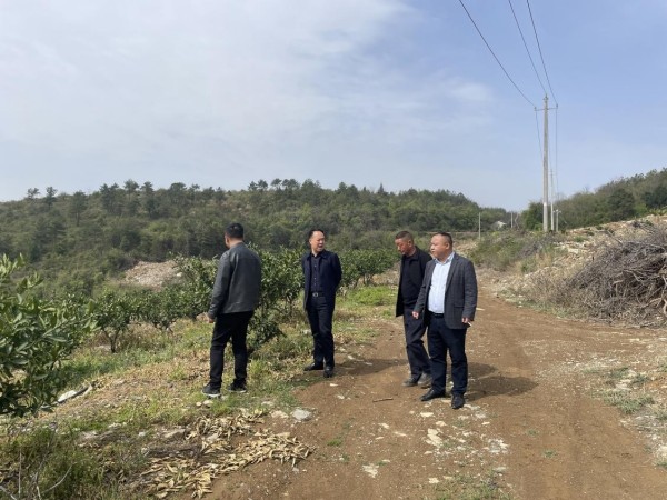 澧州实业公司助力回龙峪村构筑产业梦